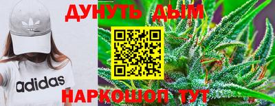 стаф Нальчик