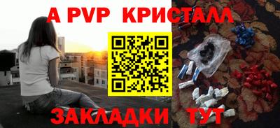 стаф Нальчик